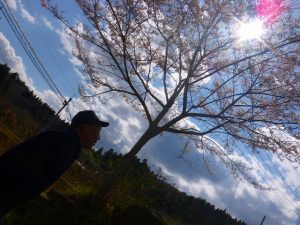 グループホームあんしん館日記